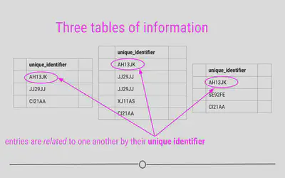 Relational data are related by unique identifiers